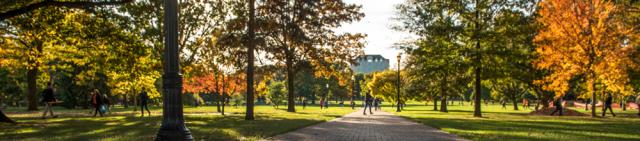 Autumn on Ohio State's campus